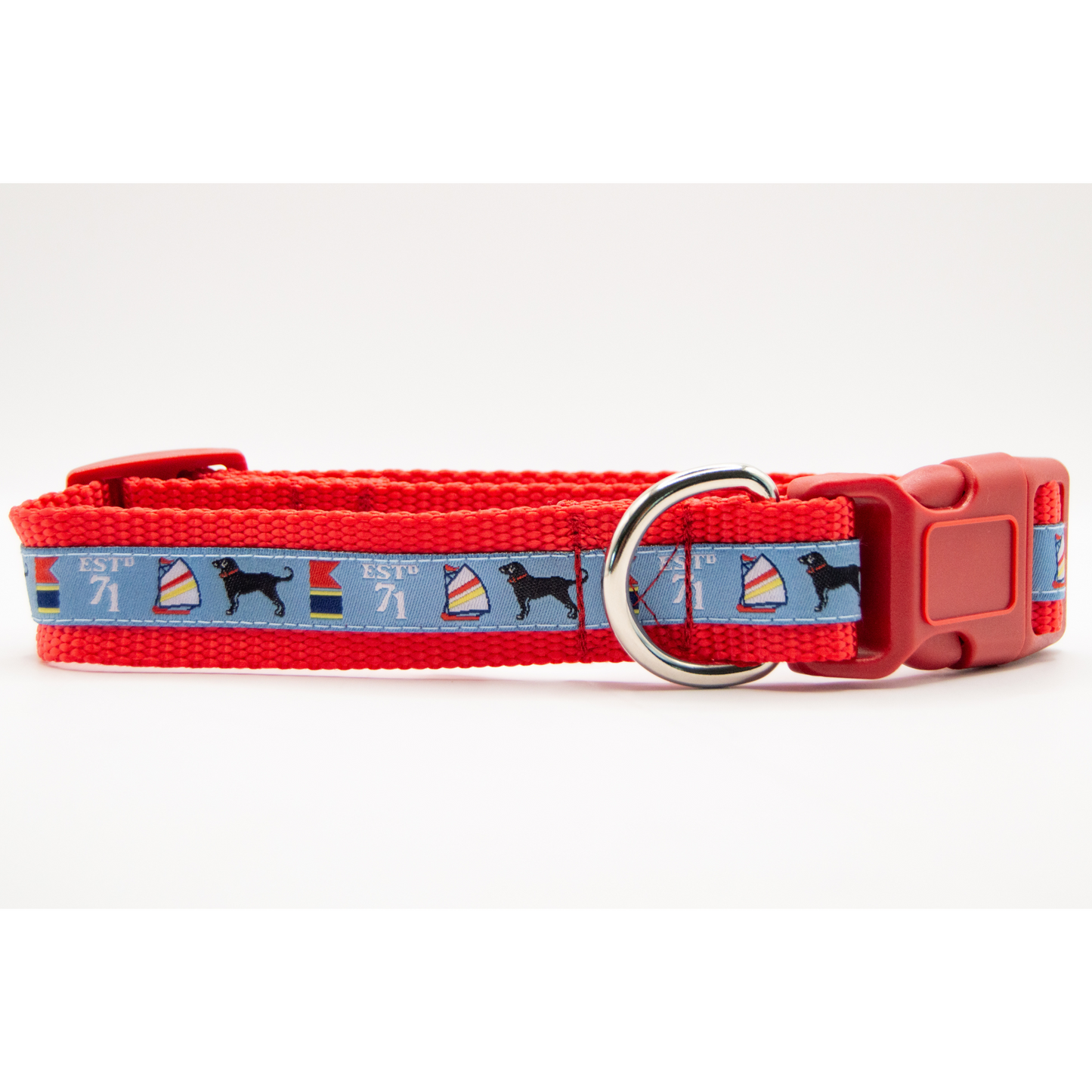 Let's Be Nauti Collar