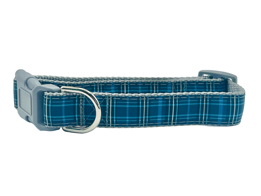Blue Plaid Collar on Gray