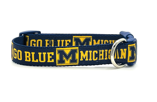 Michigan Blue and Gold
