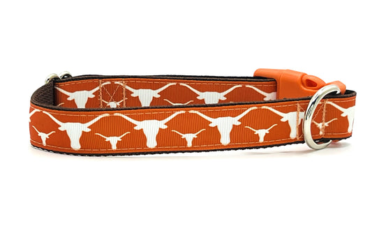 Texas Longhorns