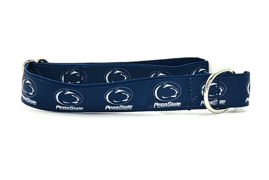 Penn State University - NIttany Lions