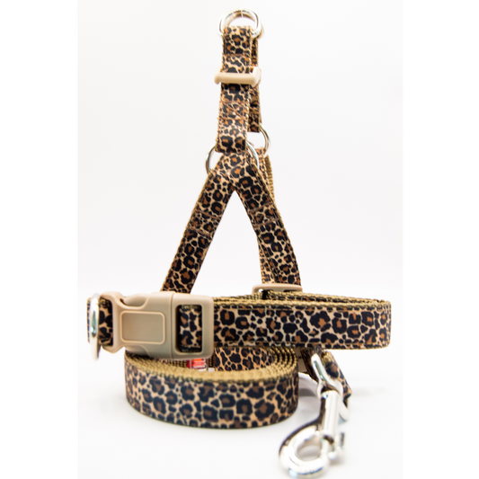 Cheetah Set