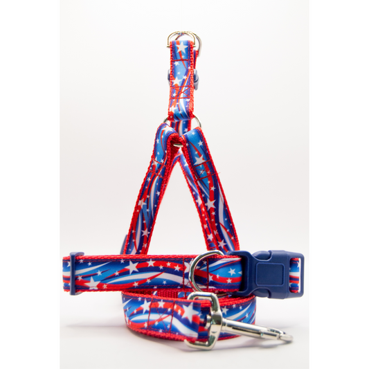 Honor the Red White and Blue Set