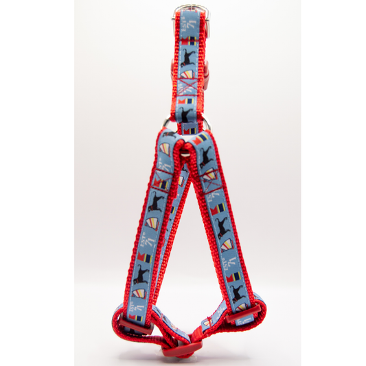 Let's Be Nauti Harness