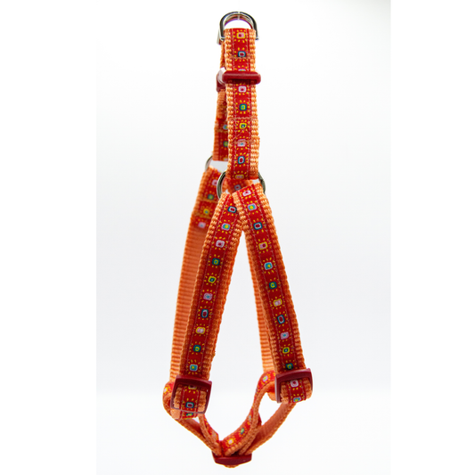 Mini Suns on Red Harness
