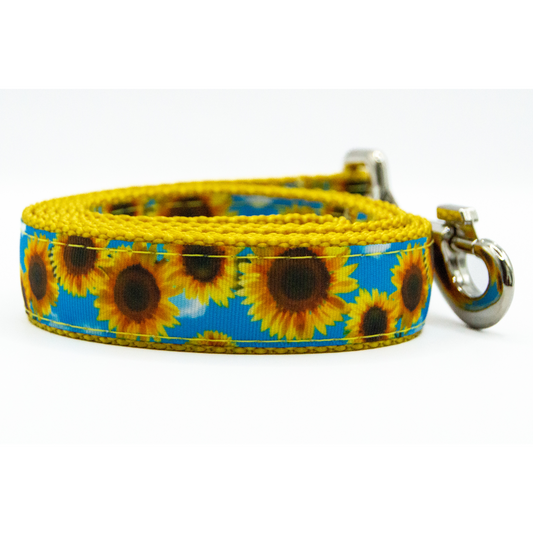 Sunflower Fields Leash